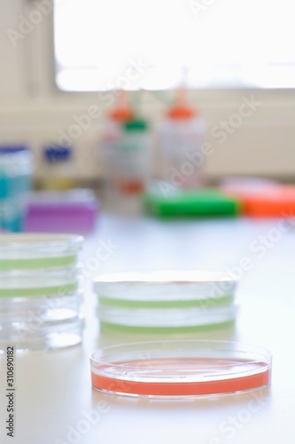 Red Petri Dish On Table