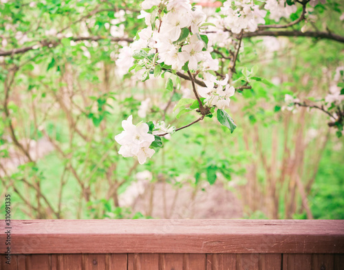 Blooming apple tree and wooden window sill. Spring flowers. Toned image in vintage style