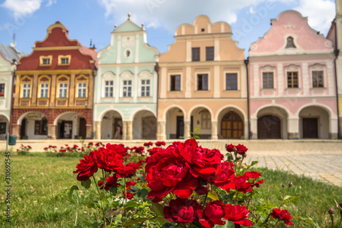 flowers in front of old houses