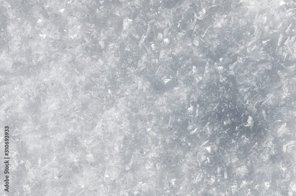 Snow background with detailed snowflakes. A macro photo of real snow crystals: large stellar dendrites with hexagonal symmetry, long elegant patterns and delicate transparent structures