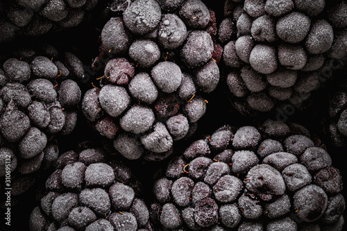 Blackberries on a Black Background