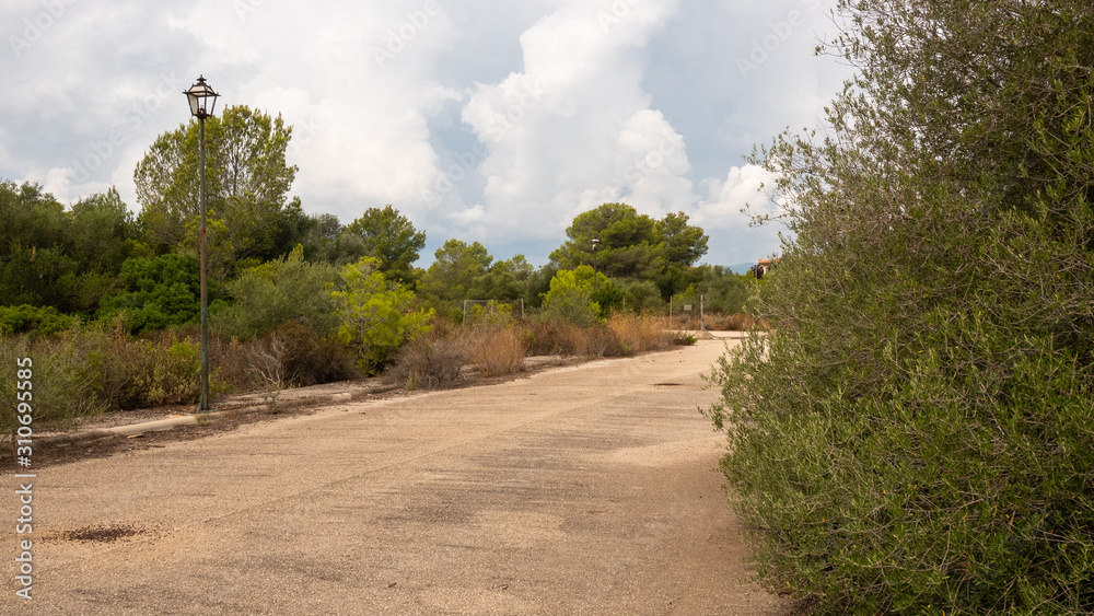 La naturaleza recupera terreno en un barrio abandonado