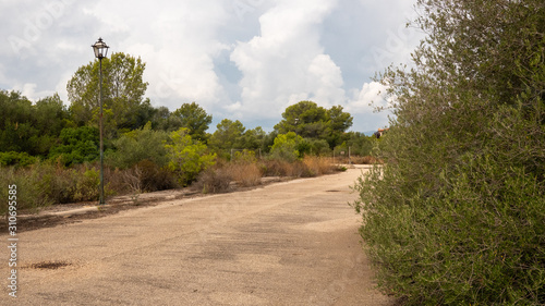 La naturaleza recupera terreno en un barrio abandonado