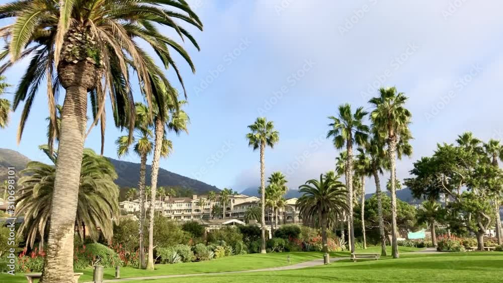 Beautiful park in Laguna Beach in California. Beautiful park in Laguna Beach in California.