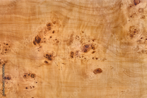 wooden board with poplar burl veneer photo