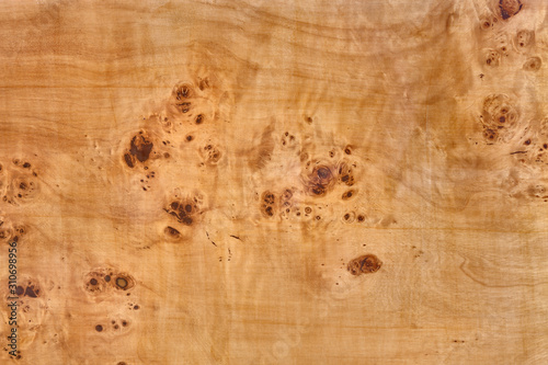 wooden board with poplar burl veneer