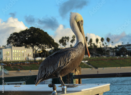 Redondo Beach Pier, Los Angeles County, California