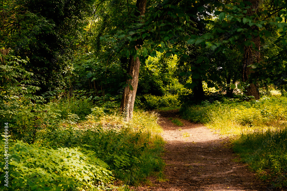 Obraz premium Sandweg in einer romantischen Parklandschaft