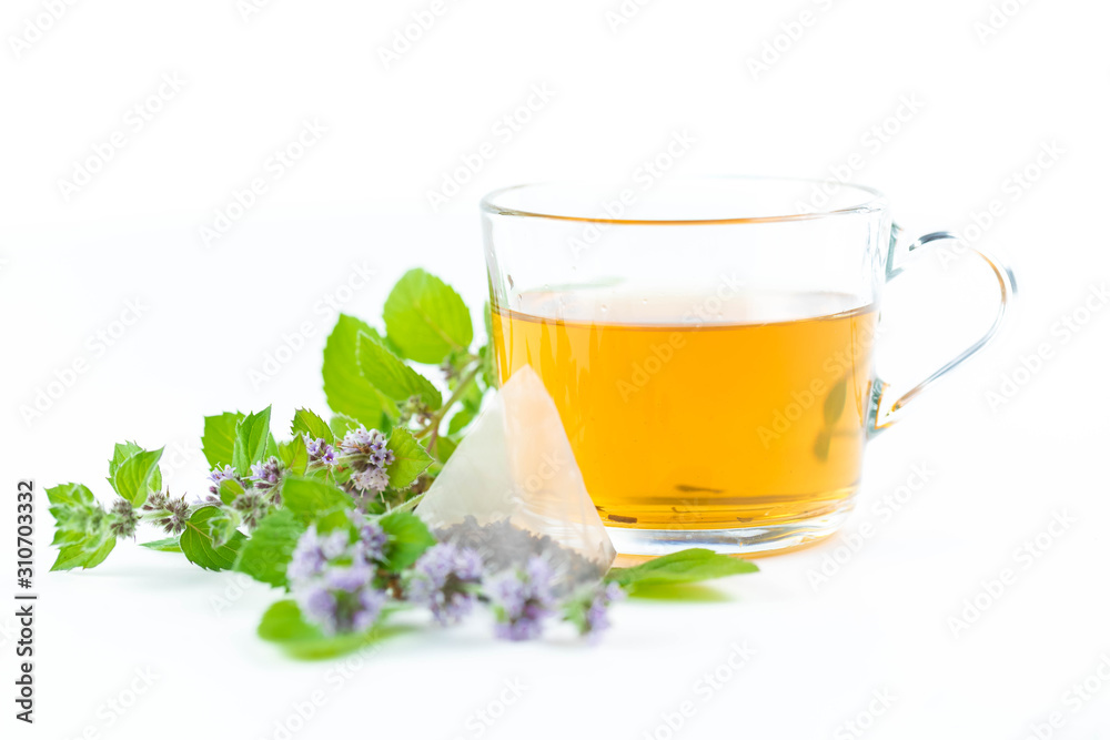 Glass clear cup with hot tea. A branch of fresh mint and an individual bag with a tea brew lies next to it. The white isolated background. Copyspace Glass clear cup with hot tea. A branch of fresh mint and an individual bag with a tea brew lies next to it. The white isolated background. Copyspace