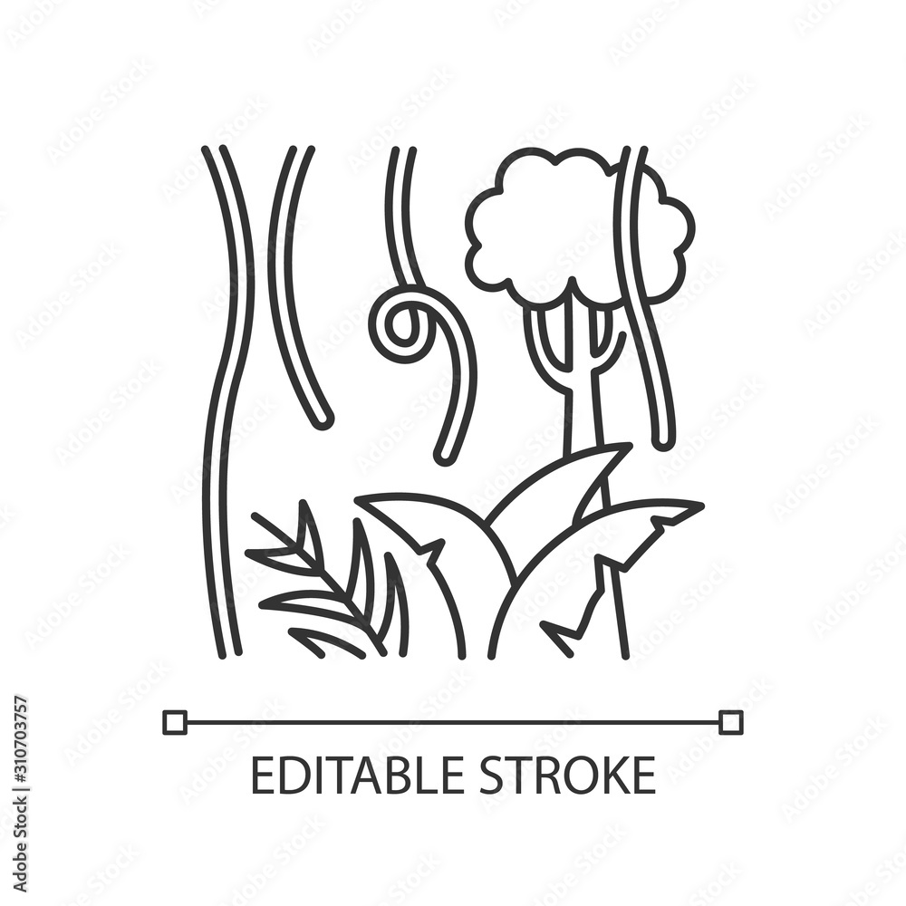 Rainforest plants linear icon. Evergreen trees, vines. Swiss cheese plant and lianas. Indonesian nature. Thin line illustration. Contour symbol. Vector isolated outline drawing. Editable stroke Rainforest plants linear icon. Evergreen trees, vines. Swiss cheese plant and lianas. Indonesian nature. Thin line illustration. Contour symbol. Vector isolated outline drawing. Editable stroke