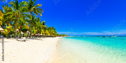 Idyllic tropical island. beach scenery with palm trees and turquoise sea