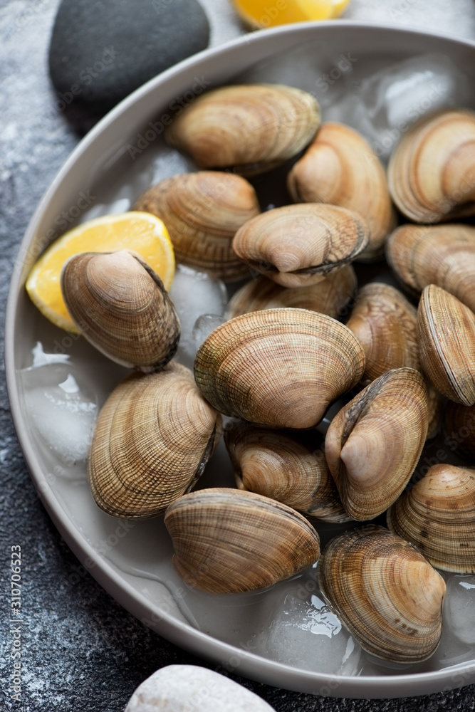 Close-up of raw fresh vongole clams on ice in a grey plate, vertical shot, selective focus