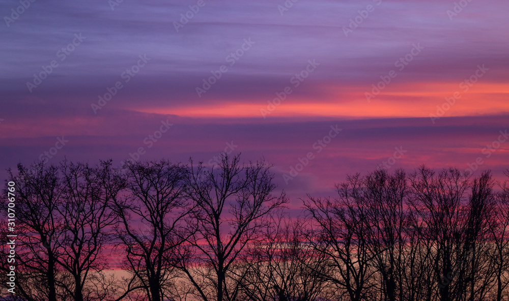 Colorful sunset behind silhouette of trees for website background. Sky above Zagreb, Croatia.