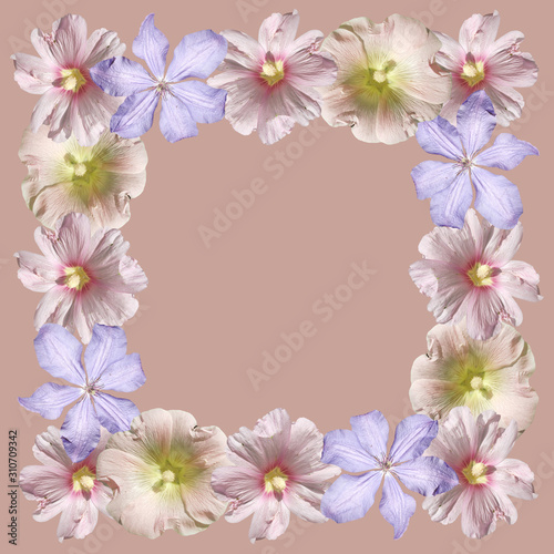 Beautiful floral pattern of clematis and mallow. Isolated