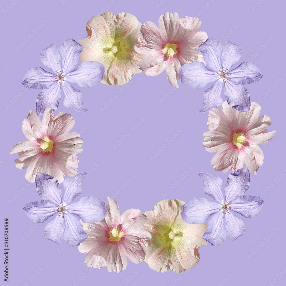 Beautiful floral circle of clematis and mallow. Isolated