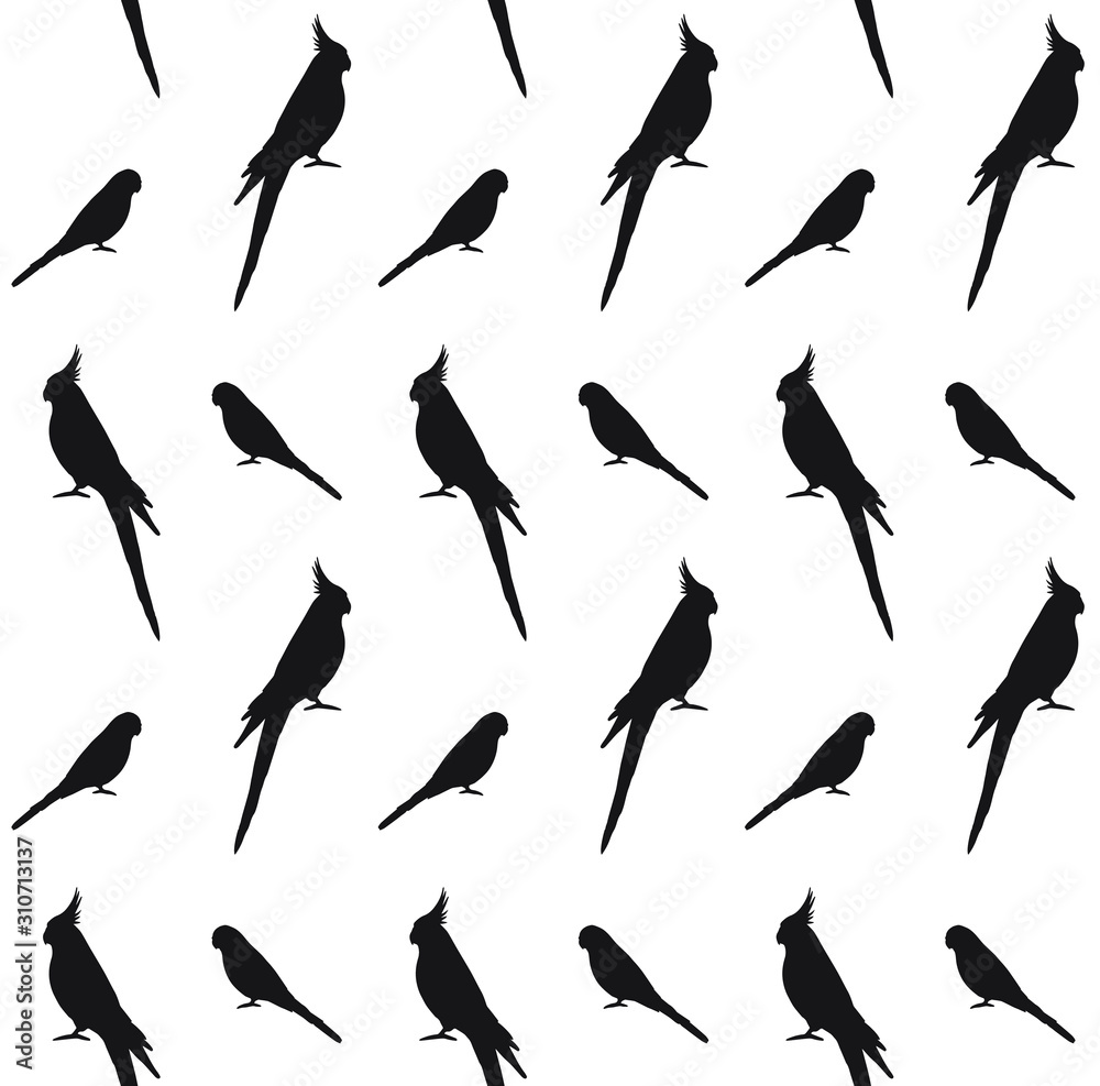 Vector seamless pattern of black budgie and cockatiel parrot silhouette isolated on white background
