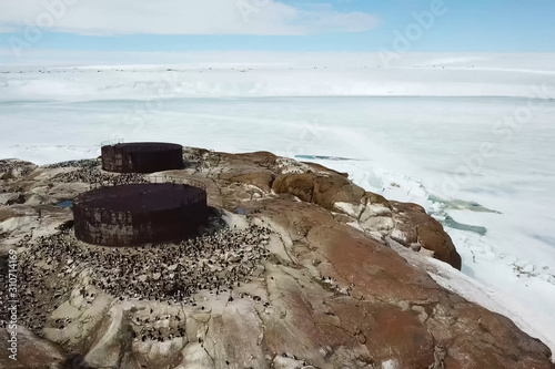 Colonies of penguins in Antarctica on adjacent rocks. photo