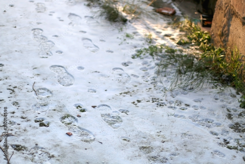 Human and animal footsteps in the snow. Selective focus. Human and animal footsteps in the snow. Selective focus.
