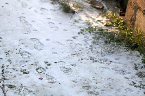 Human and animal footsteps in the snow. Selective focus.