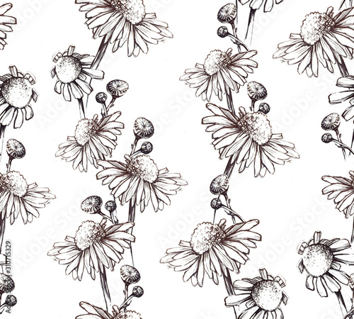 stock illustration. seamless pattern isolated on white background camomile flowers. hand drawing medicinal herbs camomile vintage style. design for fabric, textile, wallpaper, wrapper