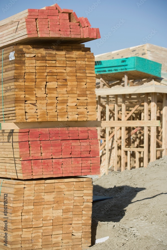 Fototapeta premium 11150111