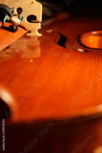 violin