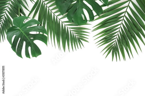 tropical green palm, monstera leaves , branches frame isolated on a white background. top view.copy space.abstract. © irenastar