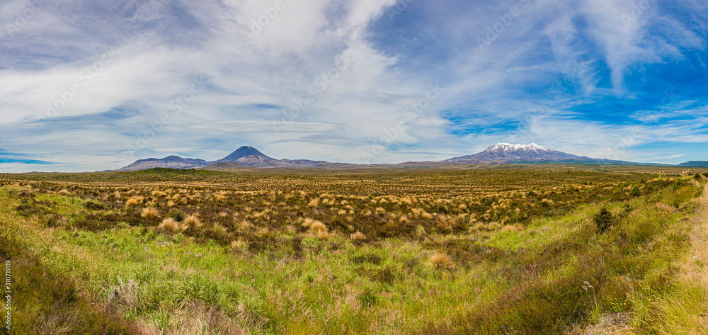 Picture of Mount Ngauruhoe and Mount Ruapehu in the Tongariro National Park on northern island of New Zealand in summer Picture of Mount Ngauruhoe and Mount Ruapehu in the Tongariro National Park on northern island of New Zealand in summer