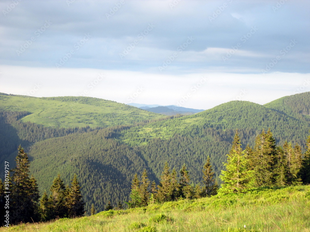 Beautiful slopes of mountains in summer