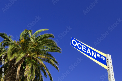 Palm tree and street sign of Ocean blvd © sumikophoto