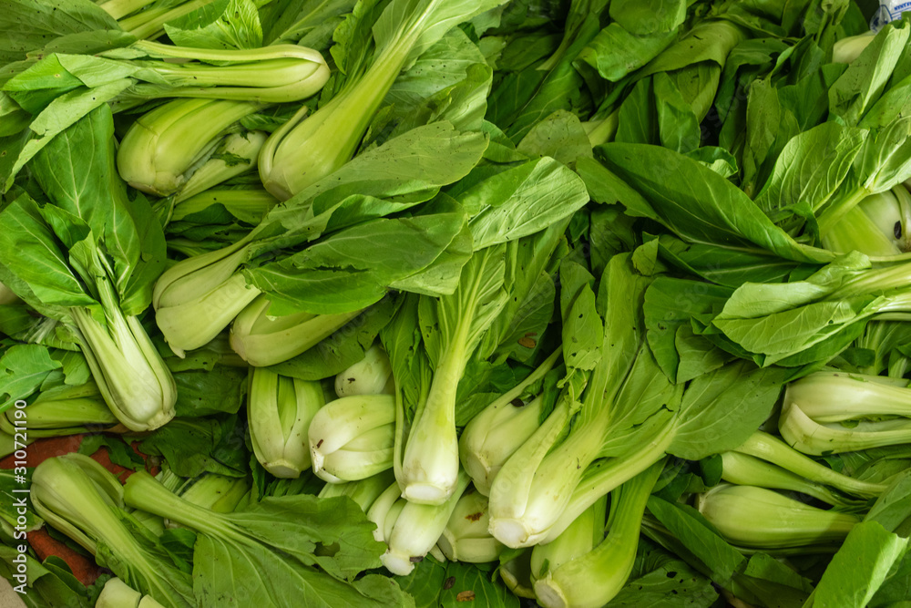 green leaves cabbage  bok choy vegetables