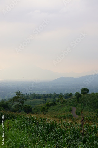 Plateau with a few trees under the foot of the mountain and was once a wilderness