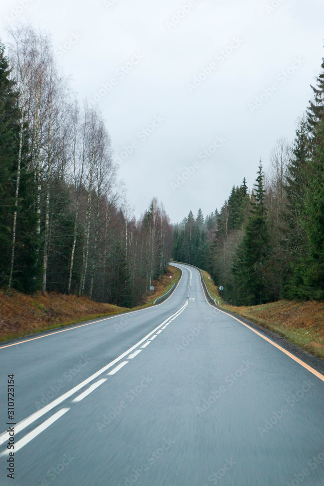 asphalt road in the autumn forest asphalt road in the autumn forest