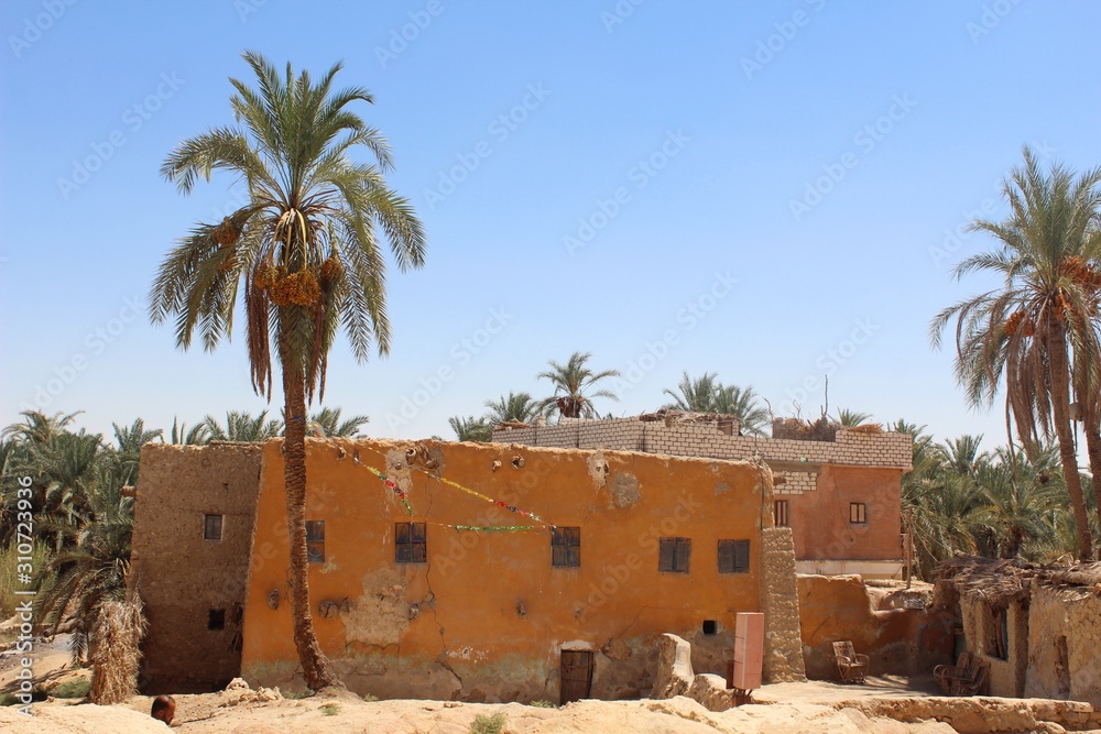 Top view of an old house in the middle of palm trees in Siwa in Egypt