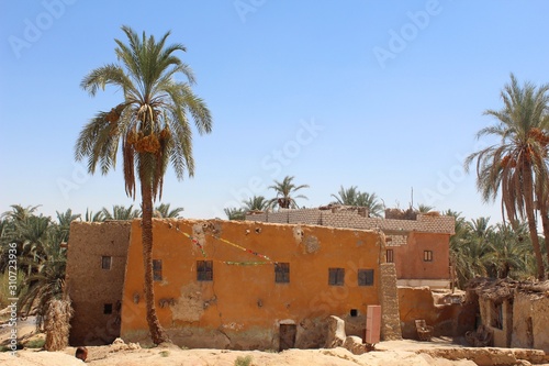 Top view of an old house in the middle of palm trees in Siwa in Egypt