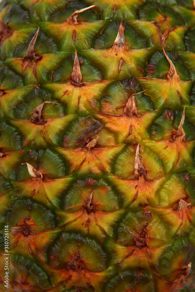 The texture of the peel of the pineapple. Close-up of fruit peel. The texture of the peel of the pineapple. Close-up of fruit peel.