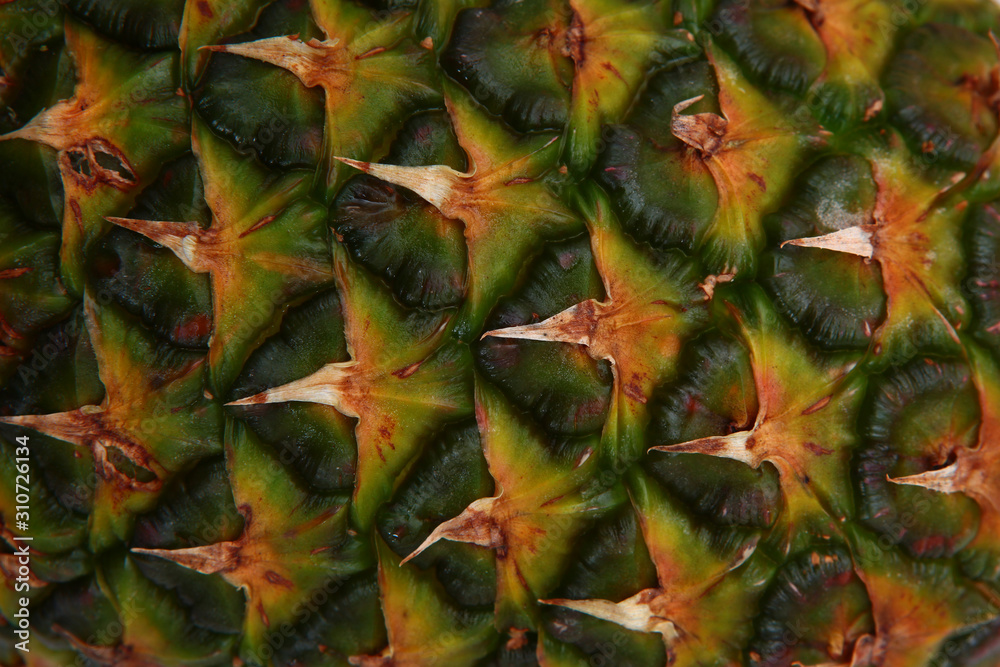 Pineapple peel close-up. Macro photo. The texture of the fruit.