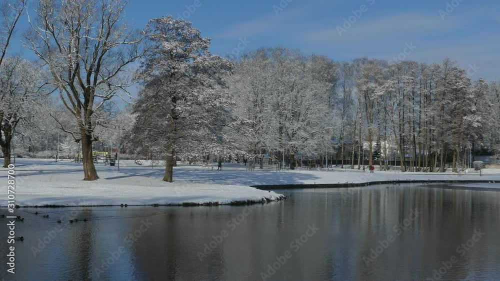 Reflection in water of snow covered trees in urban park Reflection in water of snow covered trees in urban park