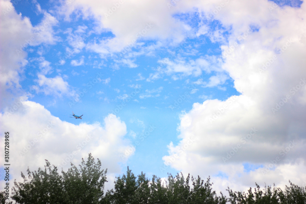 Obraz premium fly away