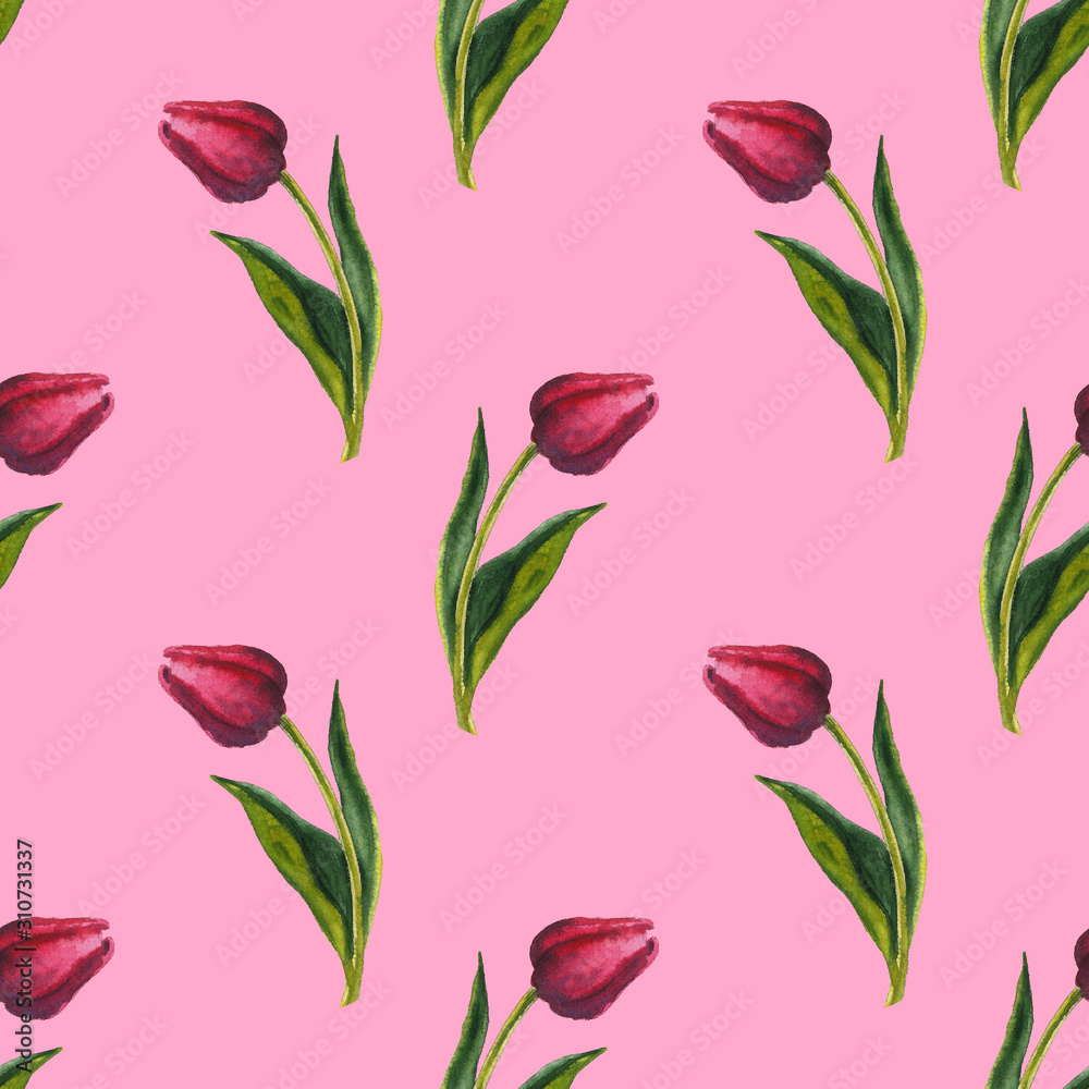 Hand painted floral elements set. Watercolor botanical illustration of