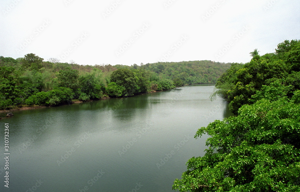 A jungle river in rural India
