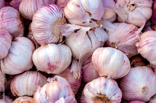 top view fresh violet and pink garlic in supermarket, organic vegetables pattern and agricultural background with selective focus