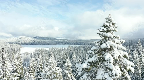 Stunning View Flying Next to Treetop with Frozen Lake in the Background