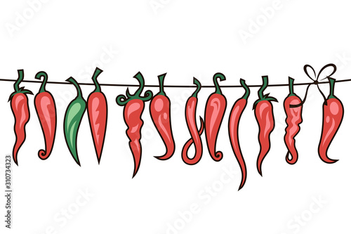 collection of red hot chili peppers in cord isolated on white background