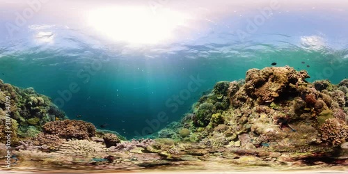 Underwater fish reef marine 360VR. Tropical colorful underwater seascape with coral reef. Camiguin, Philippines.
