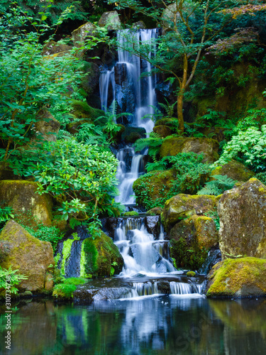 Pacific Northwest Waterfall and greenery