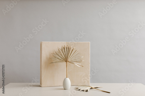 modern dried palm leaves against plywood background photo