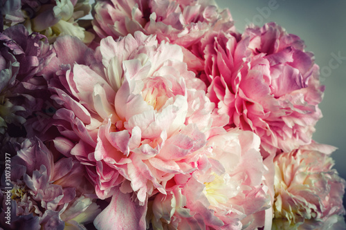 Fluffy pink peonies flowers background photo