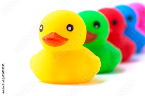 Colorful ducks in a row isolated over white. Rubber ducks in a row on a white background © spyrakot