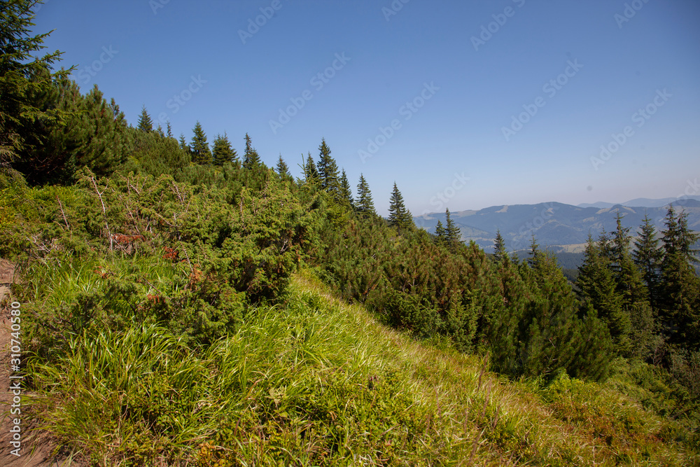 Fototapeta premium landscape with mountains and blue sky